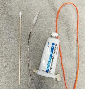 Figure 5. Intubation supplies, from left to right: Cotton-tipped applicator, cuffed endotracheal tube, lidocaine gel, and tie.