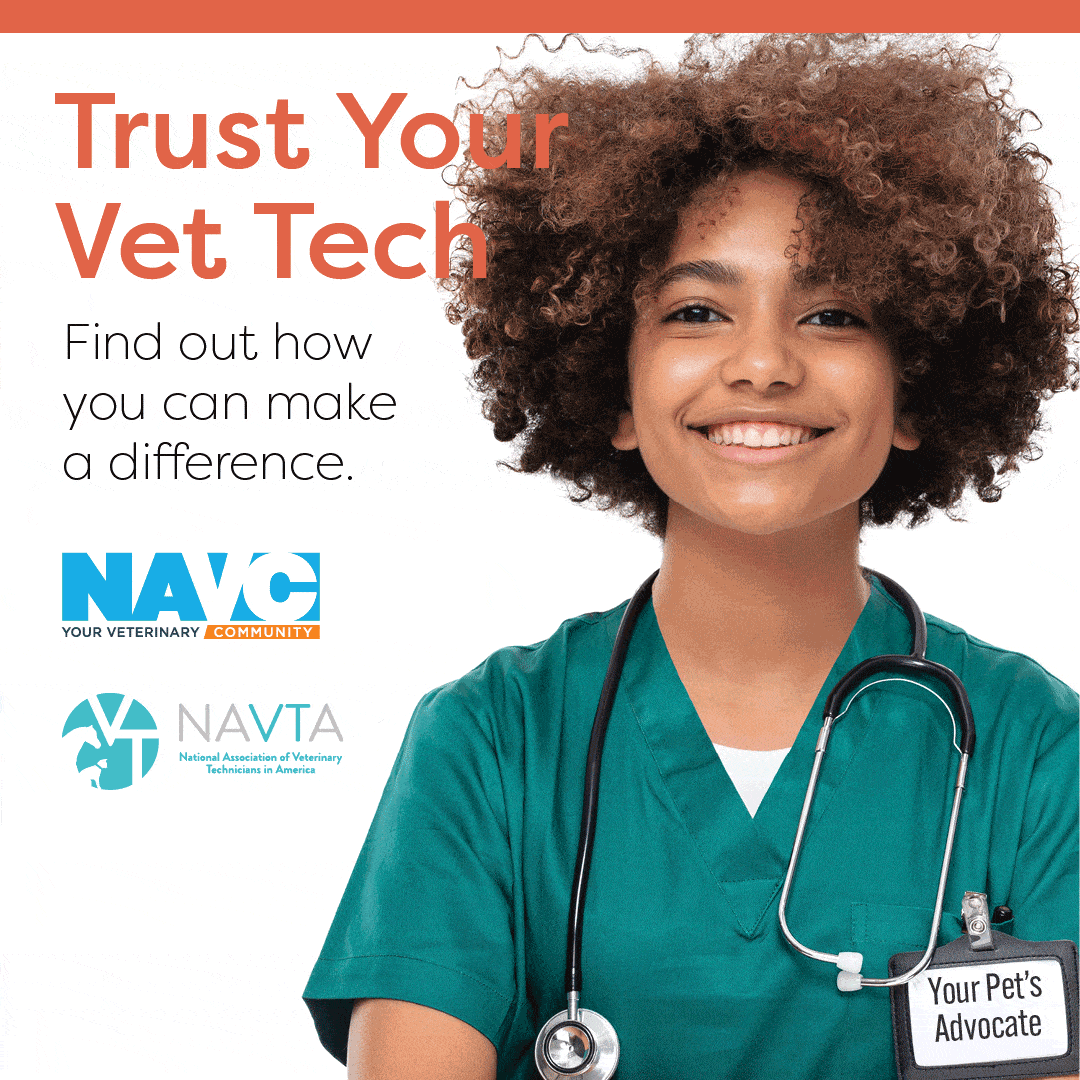 navc social vet nurse tech 1080 x 1080 gif