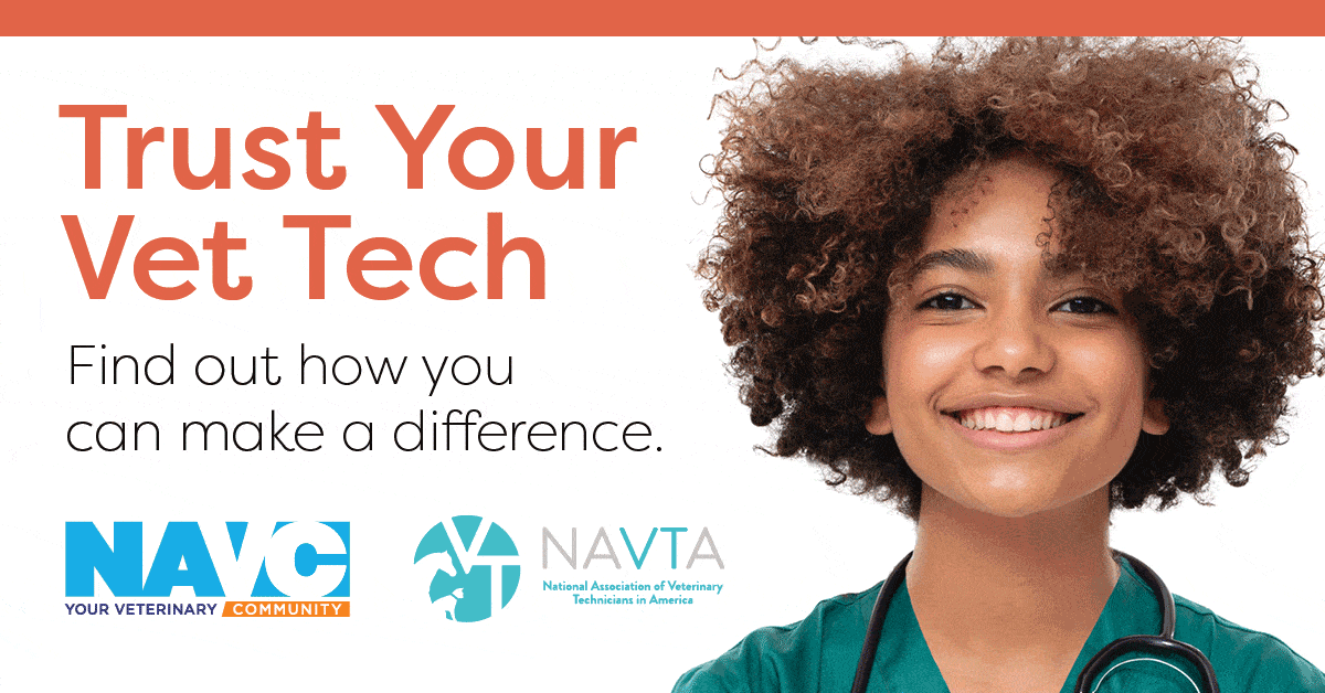 Nurse Tech PP Social 1200 x 628 NAVC