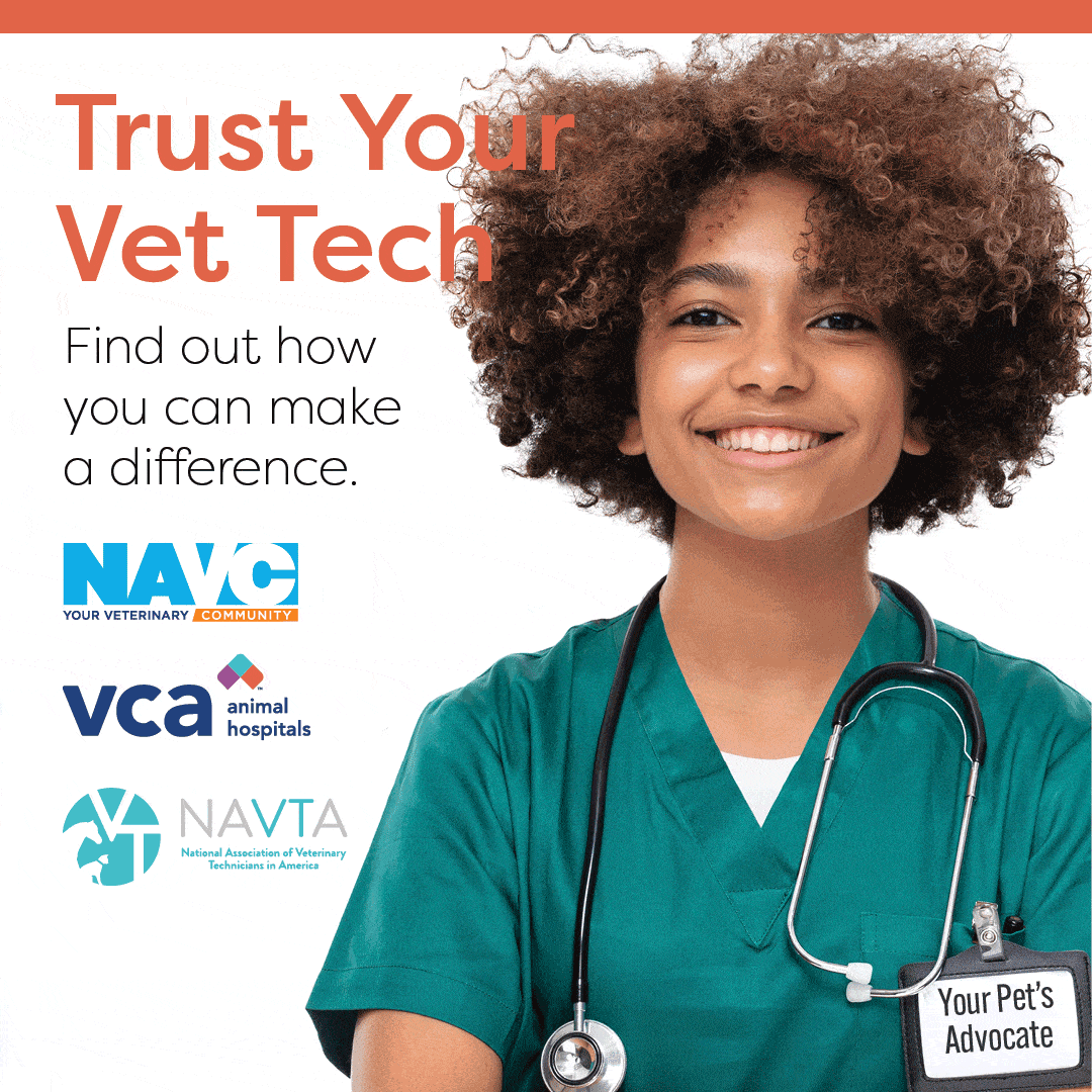 VCA social vet nurse tech 1080 x 1080 gif