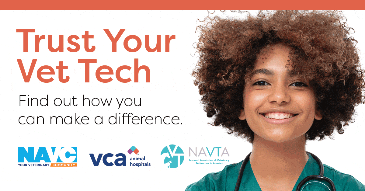 Nurse_Tech_PP-Social_1200x628_VCA