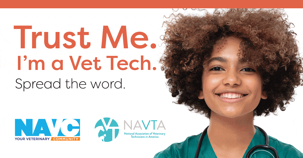NAVC social gif linkedin  and X