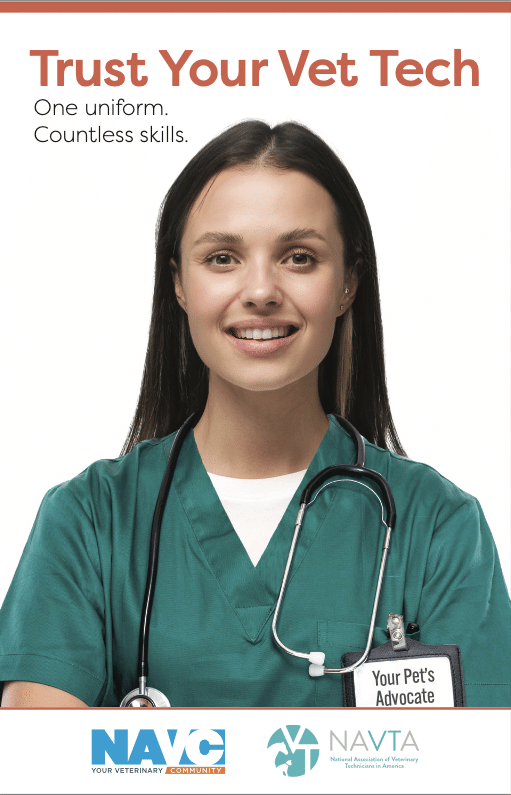 NAVC_Vet-Tech_Flyer_Thumb