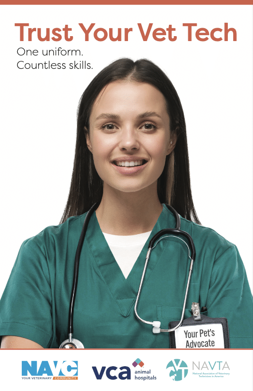 VCA_Vet-Tech_Flyer_Thumb