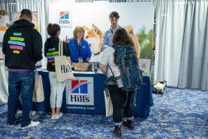 Hive_Minn_hills_booth Hive hills minn