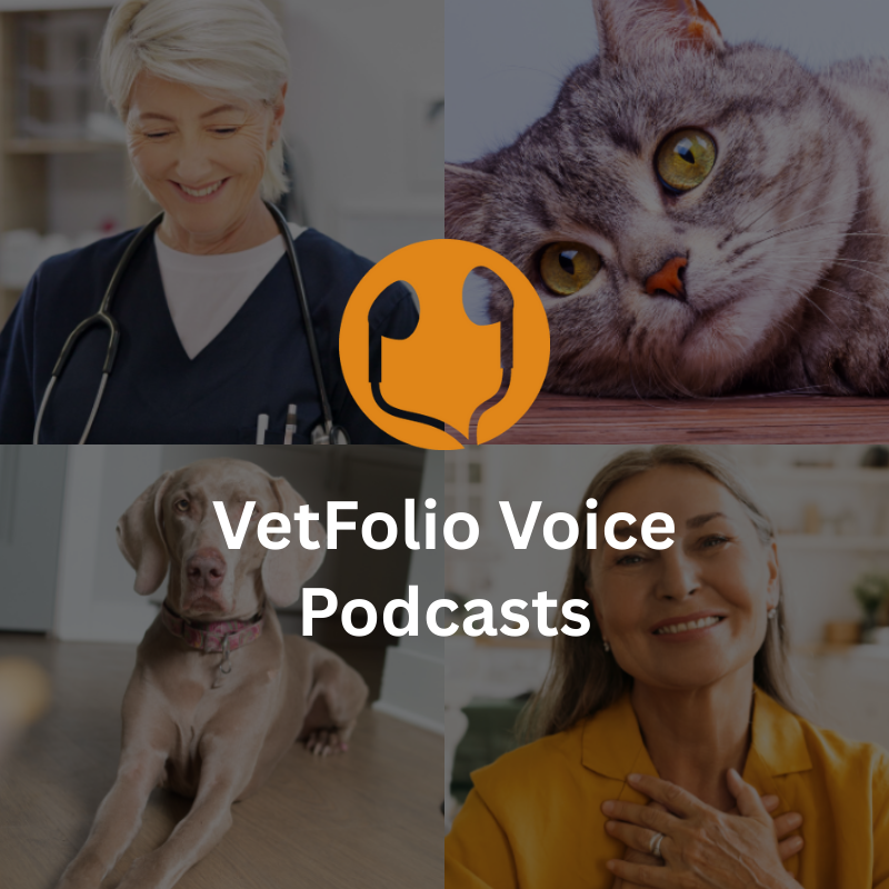 VetFolio Voice Podcast Thumb Version 2