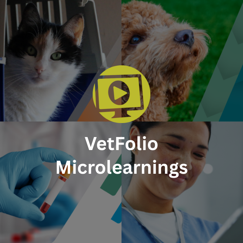 VetFolio Microlearning Thumb Version 2