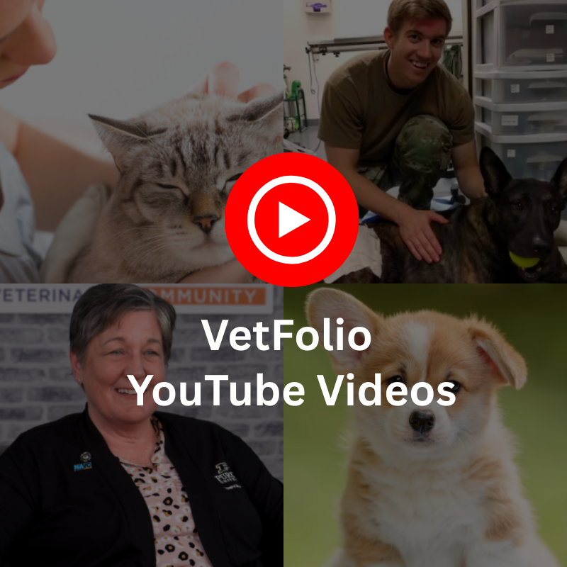 VetFolio YouTube Version 2 Thumb