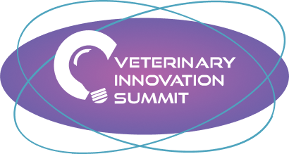2025 VIS logo
