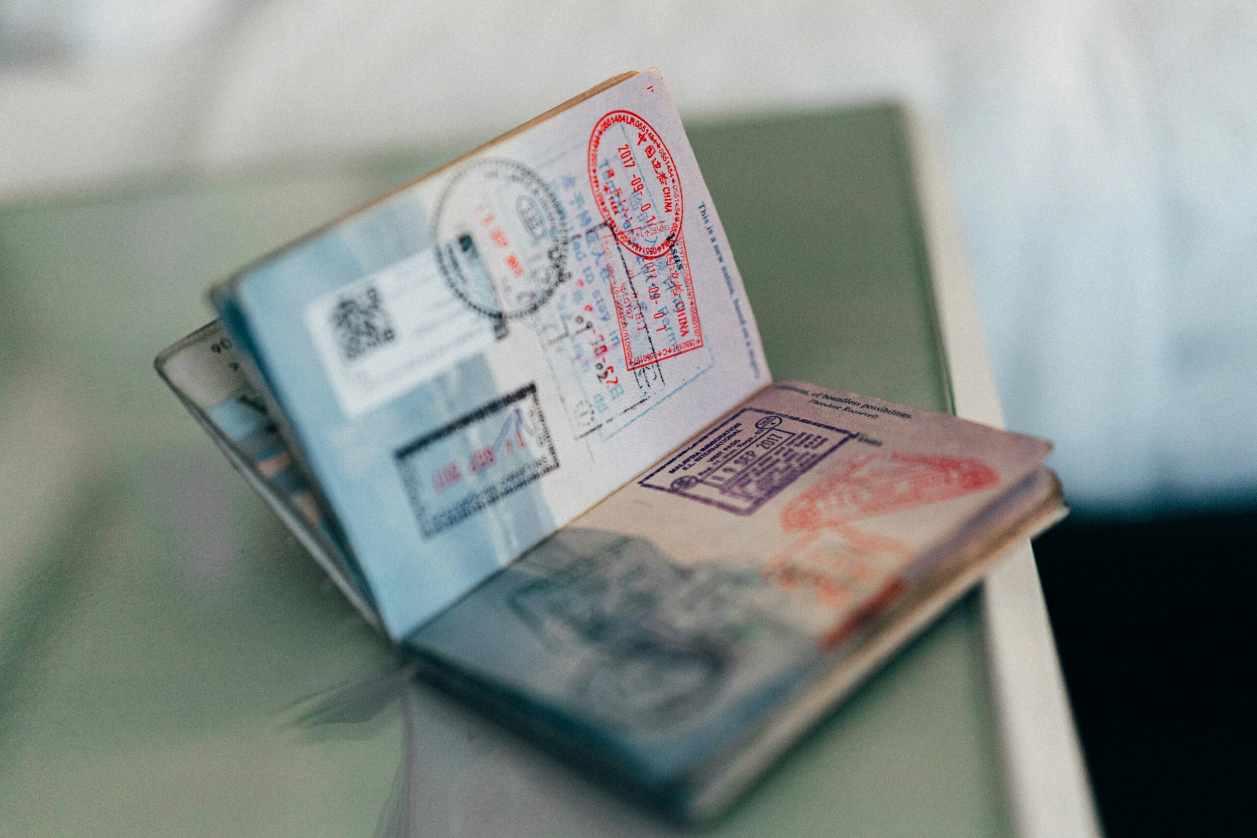 VMX International Travelers Passport