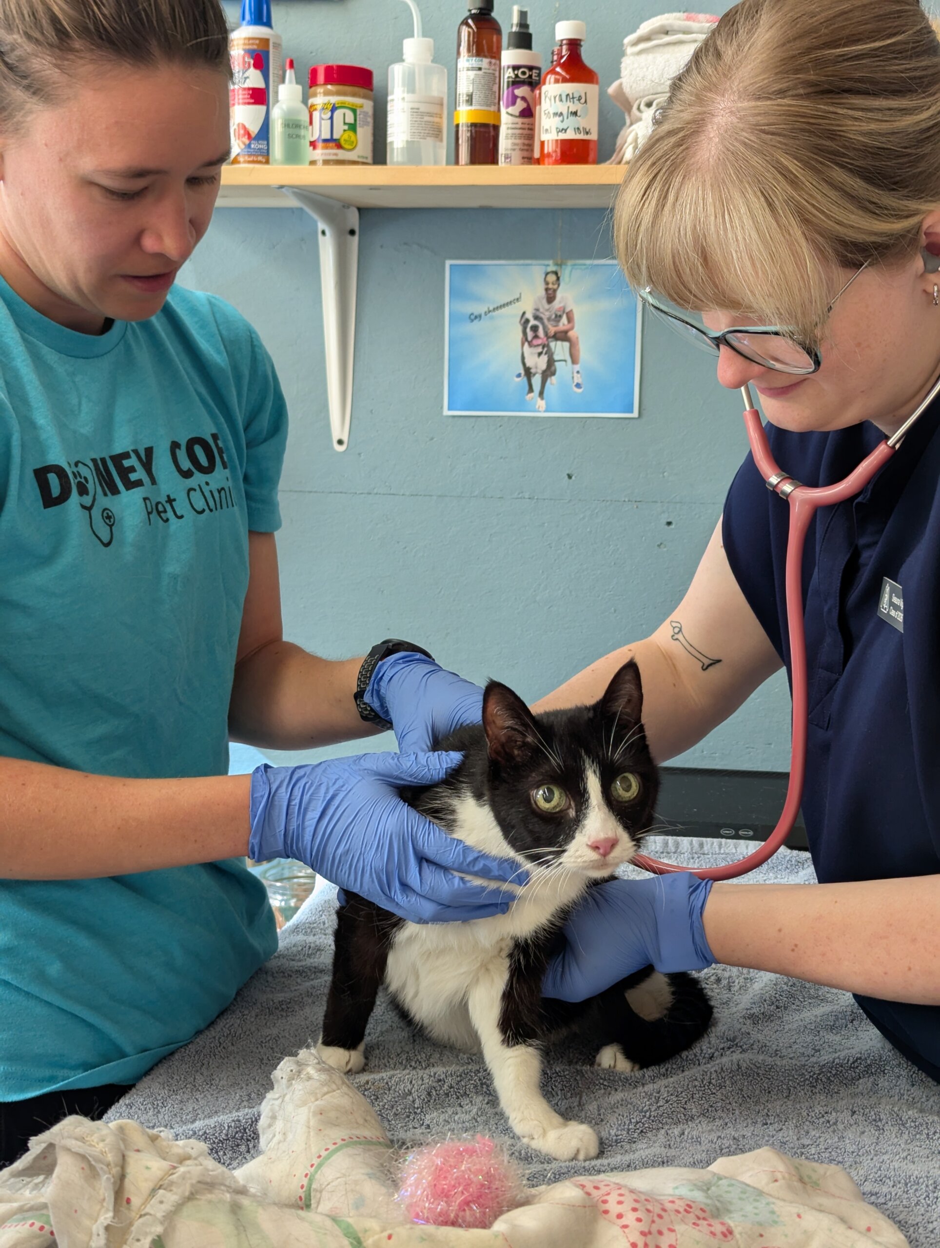 Kenjamin VMX 2026 Cat Exam