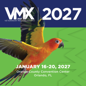 updated slider for vmx 2027 early bird