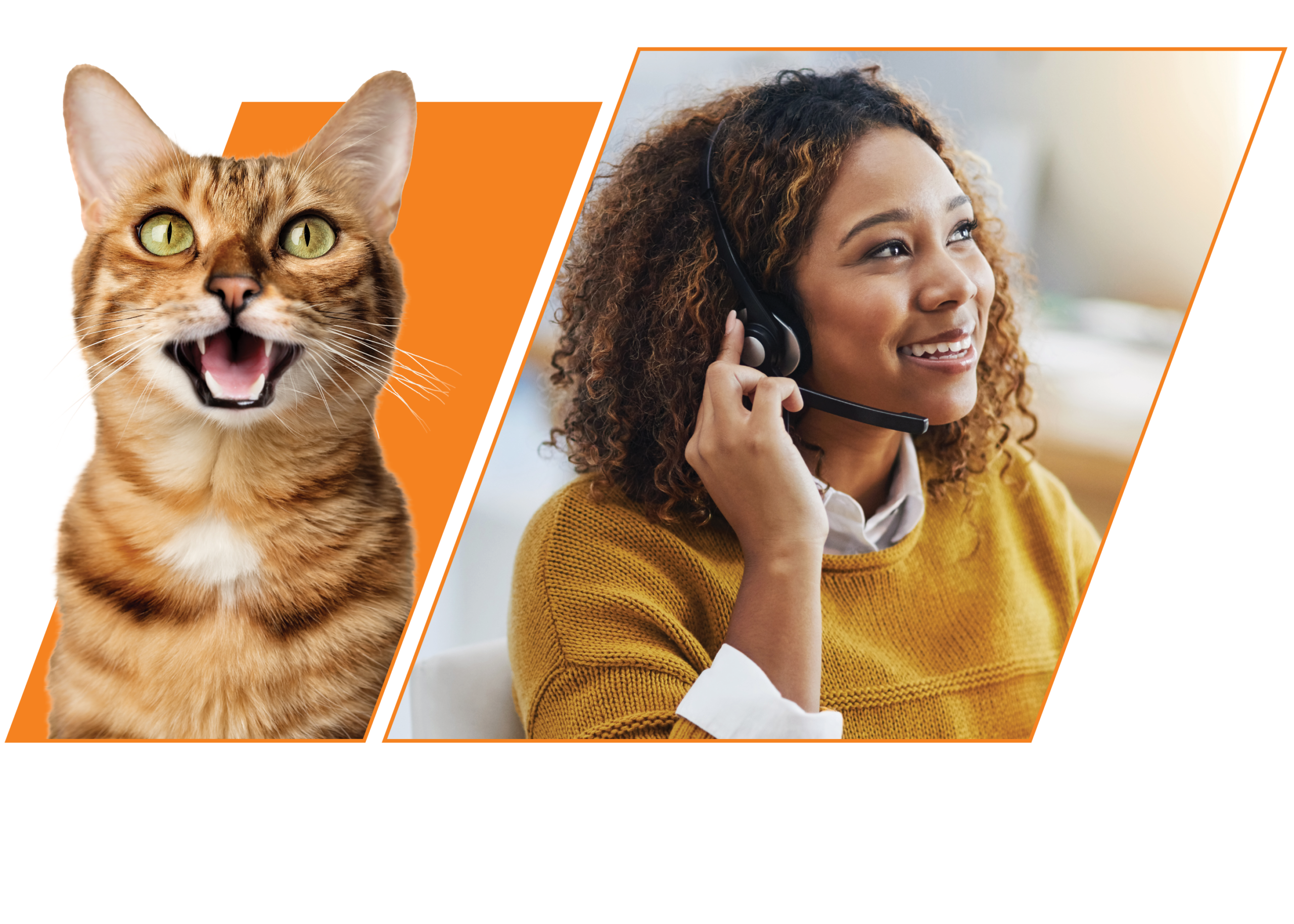 About_Contact Page_Get In Touch (1) NAVC Contact Information Cat and Operator Image