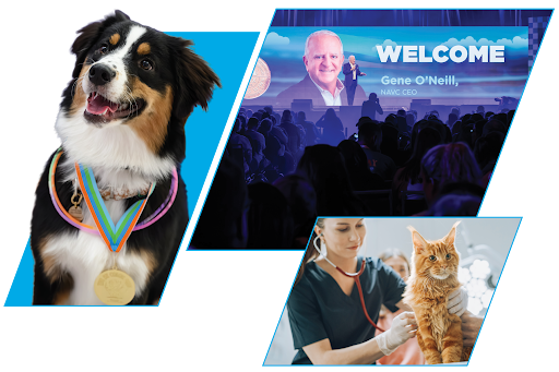 NAVC Home Page Three Box Image