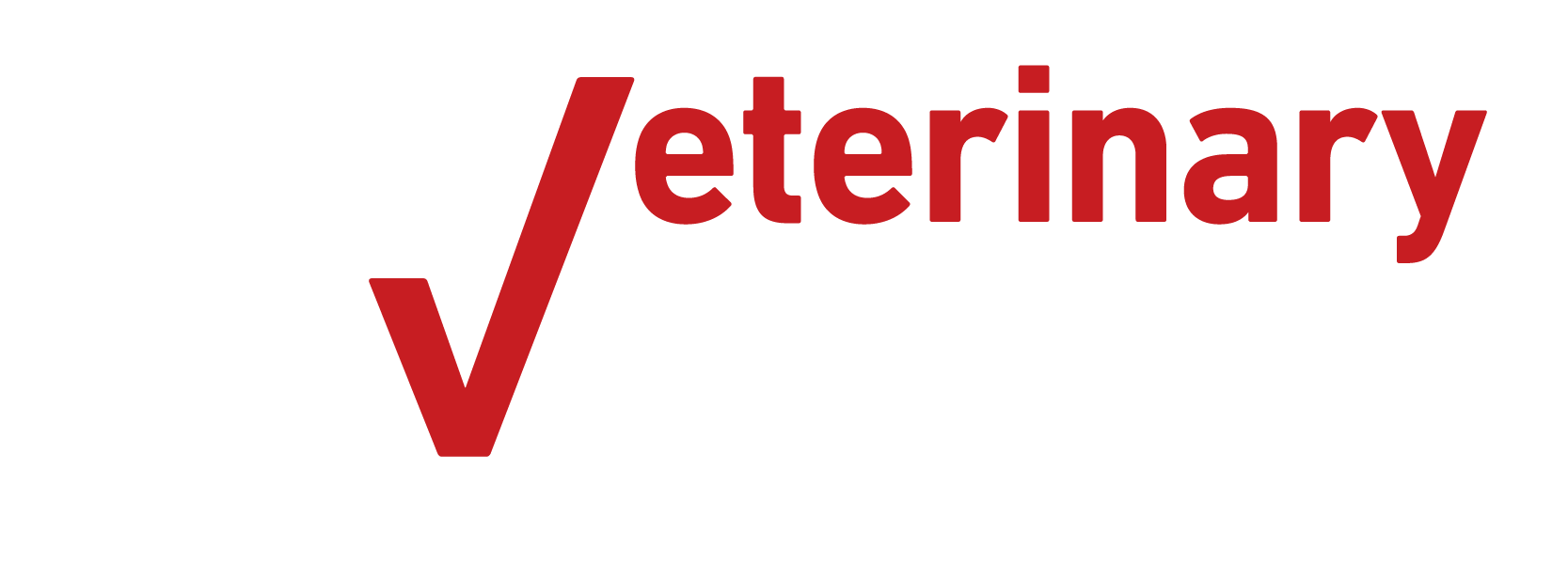 VAM Logo High Def 2026