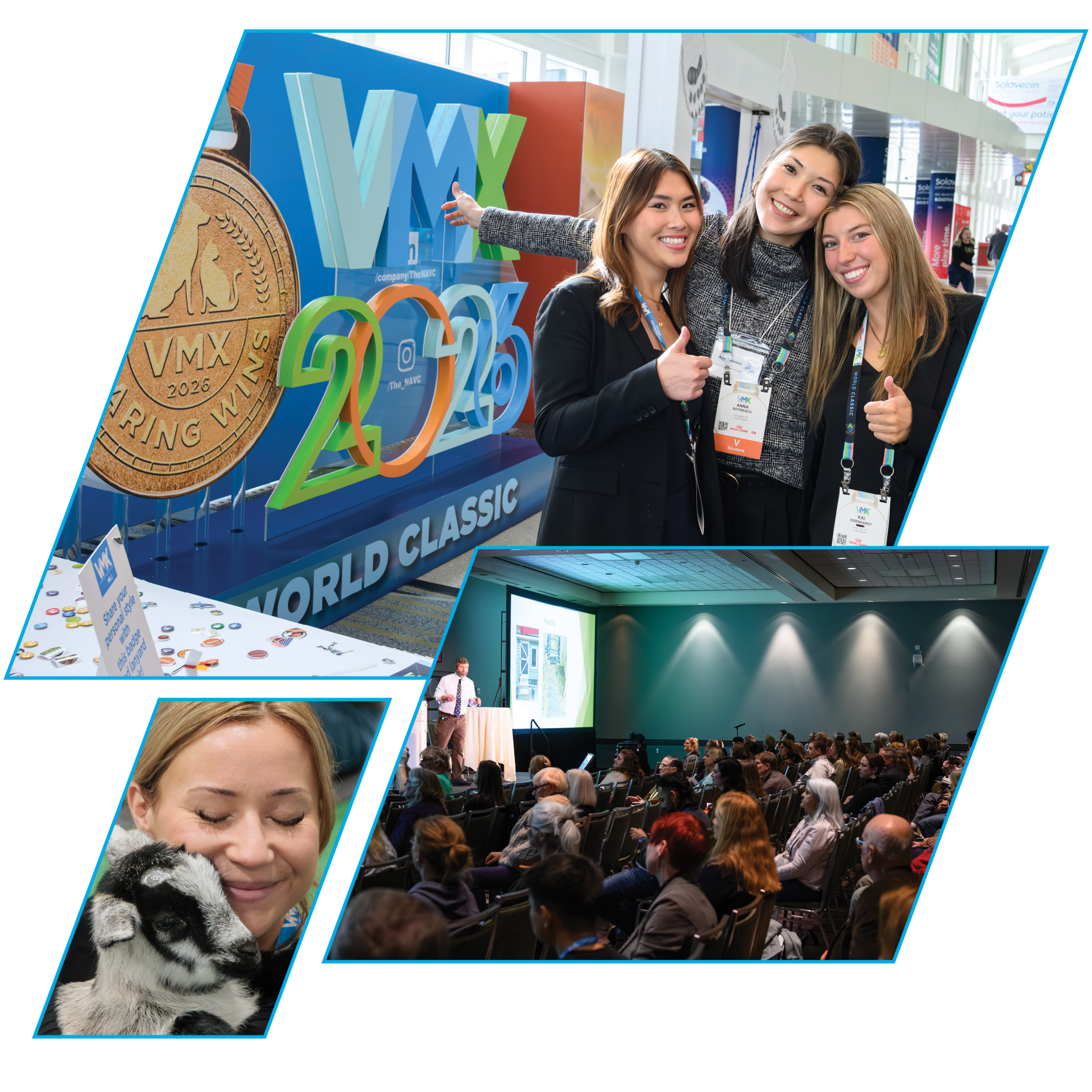VMX Home Collage